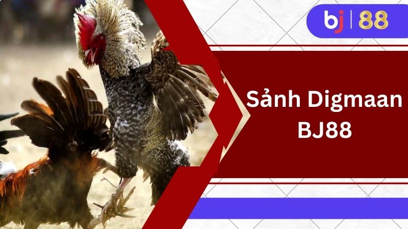 Sảnh Digmaan BJ88 - Điểm đến lý tưởng cho các kê thủ 1 Sảnh Digmaan là điểm đến quen thuộc với nhiều cược thủ